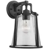 Progress Lighting Benton Harbor Collection One-light Large Wall Lantern With Durashield