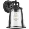 Progress Lighting Benton Harbor Collection One-light Medium Wall Lantern With Durashield
