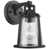 Progress Lighting Benton Harbor Collection One-light Small Wall Lantern With Durashield