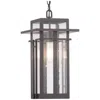 Progress Lighting Boxwood Collection One-light Hanging Lantern