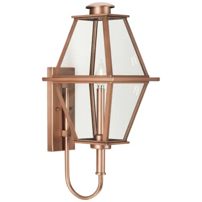 Progress Lighting Bradshaw Collection One-light Clear Glass Medium Outdoor Wall Lantern