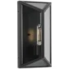 Progress Lighting Bristol Collection One-light Medium Outdoor Wall Lantern