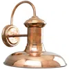 Progress Lighting Brookside Collection One-light Large Wall Lantern