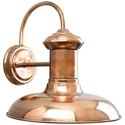 Progress Lighting Brookside Collection One-light Large Wall Lantern