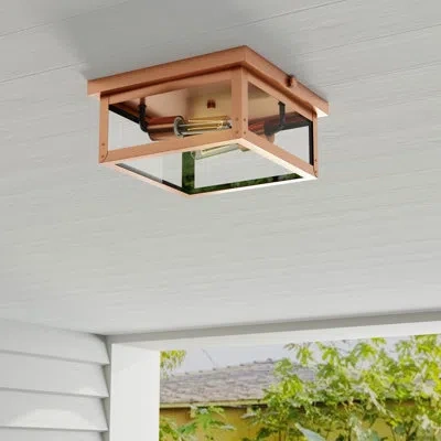 Progress Lighting Brown 2 - Bulb 12.37" W Outdoor Flush Mount