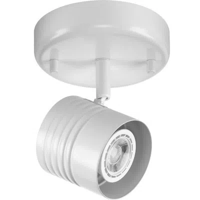 Progress Lighting Brushed Nickel One-head In Satin White
