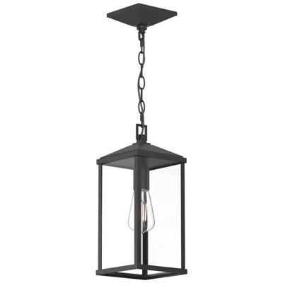 Progress Lighting Cantley Outdoor Pendant With Clear Glass Panels