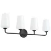 Progress Lighting Celino Four-light Bath & Vanity