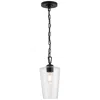 Progress Lighting Celino One-light Pendant In Black
