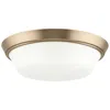 Progress Lighting Edessa Flush Mount