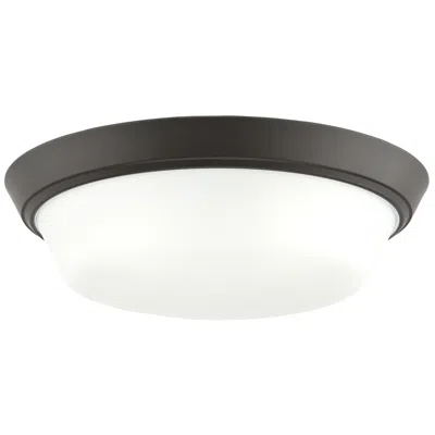 Progress Lighting Edessa Flush Mount