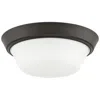 Progress Lighting Edessa Flush Mount