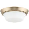 Progress Lighting Edessa Flush Mount