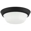 Progress Lighting Edessa Flush Mount