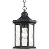 Progress Lighting Edition Collection One-light Hanging Lantern