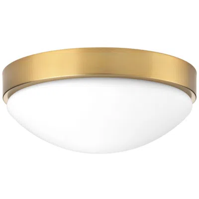Progress Lighting Elevate Collection 13" Led Flush Mount