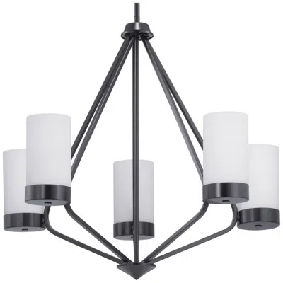 Progress Lighting Elevate Collection Five-light Etched White Glass Chandelier Light