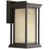 Progress Lighting Endicott Collection One-light Medium Wall Lantern
