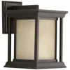 Progress Lighting Endicott Collection One-light Small Wall Lantern
