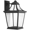 Progress Lighting Endorse Collection One-light Large Wall Lantern