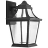 Progress Lighting Endorse Collection One-light Medium Wall Lantern