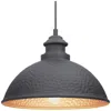 Progress Lighting Englewood Collection One-light Hanging Lantern