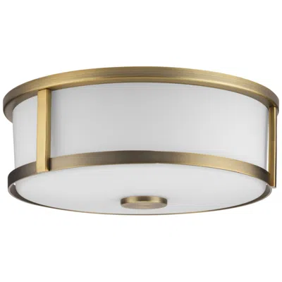 Progress Lighting Gilliam Collection 12-5/8 In. Two-light Flush Mount P350254
