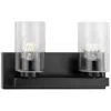 Progress Lighting Goodwin Collection Two-light Modern Vanity Light With Clear Glass