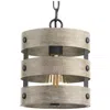 Progress Lighting Gulliver Collection One-light Pendant Light