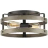 Progress Lighting Gulliver Collection Two-light Flush Mount Ceiling Light