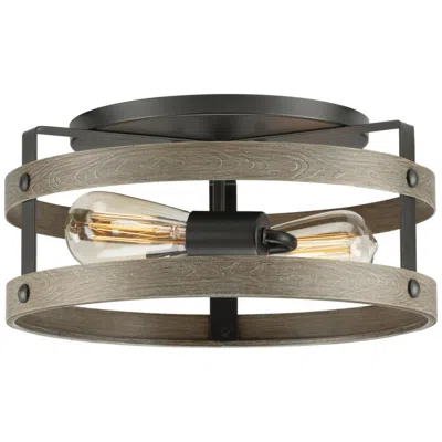Progress Lighting Gulliver Collection Two-light Flush Mount Ceiling Light