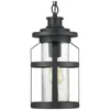 Progress Lighting Haslett Collection One-light Hanging Lantern