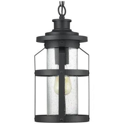 Progress Lighting Haslett Collection One-light Hanging Lantern