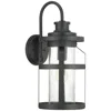 Progress Lighting Haslett Collection One-light Large Wall Lantern