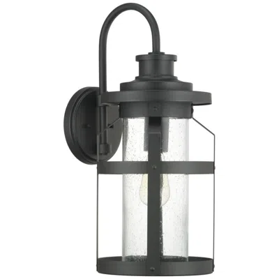 Progress Lighting Haslett Collection One-light Large Wall Lantern