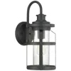 Progress Lighting Haslett Collection One-light Medium Wall Lantern