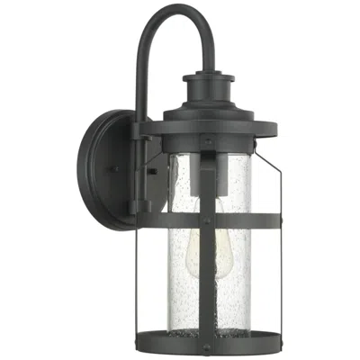 Progress Lighting Haslett Collection One-light Medium Wall Lantern