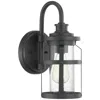 Progress Lighting Haslett Collection One-light Small Wall Lantern