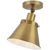 Progress Lighting Hinton Collection One-light Ceiling Light
