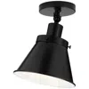 Progress Lighting Hinton Collection One-light Ceiling Light