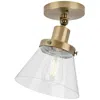 Progress Lighting Hinton Collection One-light Seeded Glass Ceiling Light