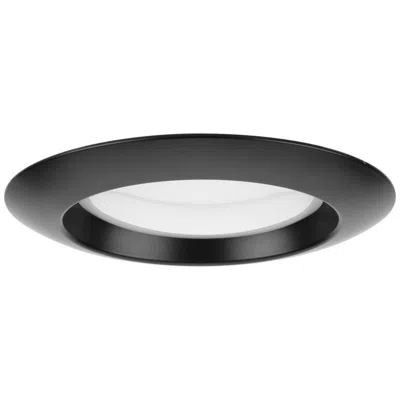 Progress Lighting Intrinsic Collection 4" Adjustable Eyeball 5-cct Recessed Trim