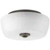 Progress Lighting Leap Collection Two-light 14" Flush Mount