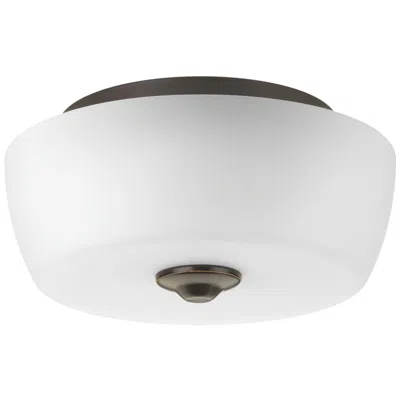 Progress Lighting Leap Collection Two-light 14" Flush Mount