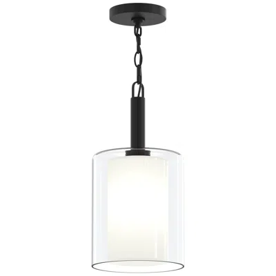 Progress Lighting Mack One-light Pendant With Layered Glass Shade In Animal Print