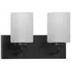 Progress Lighting Merry 2-light Etched Glass Transitional Vanity Light