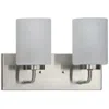 Progress Lighting Merry 2-light Etched Glass Transitional Vanity Light
