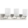 Progress Lighting Merry 3-light Etched Glass Transitional Vanity Light