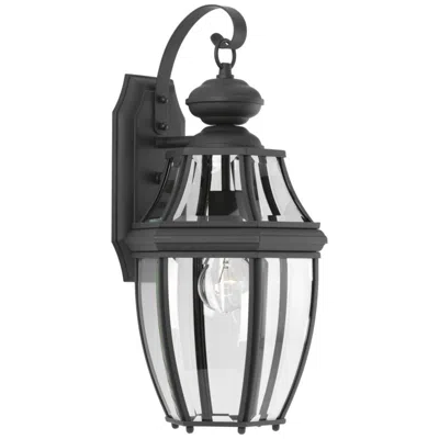 Progress Lighting New Haven Collection One-light Medium Wall Lantern
