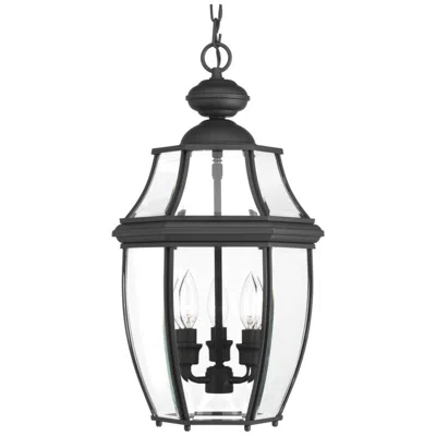 Progress Lighting New Haven Collection Three-light Hanging Lantern